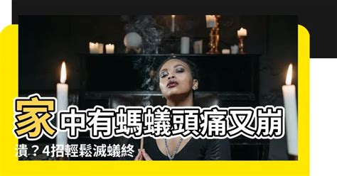 家中有蟻怎辦|家裡有螞蟻怎麼辦？專家告訴你5招如何消滅螞蟻大軍方法！一篇。